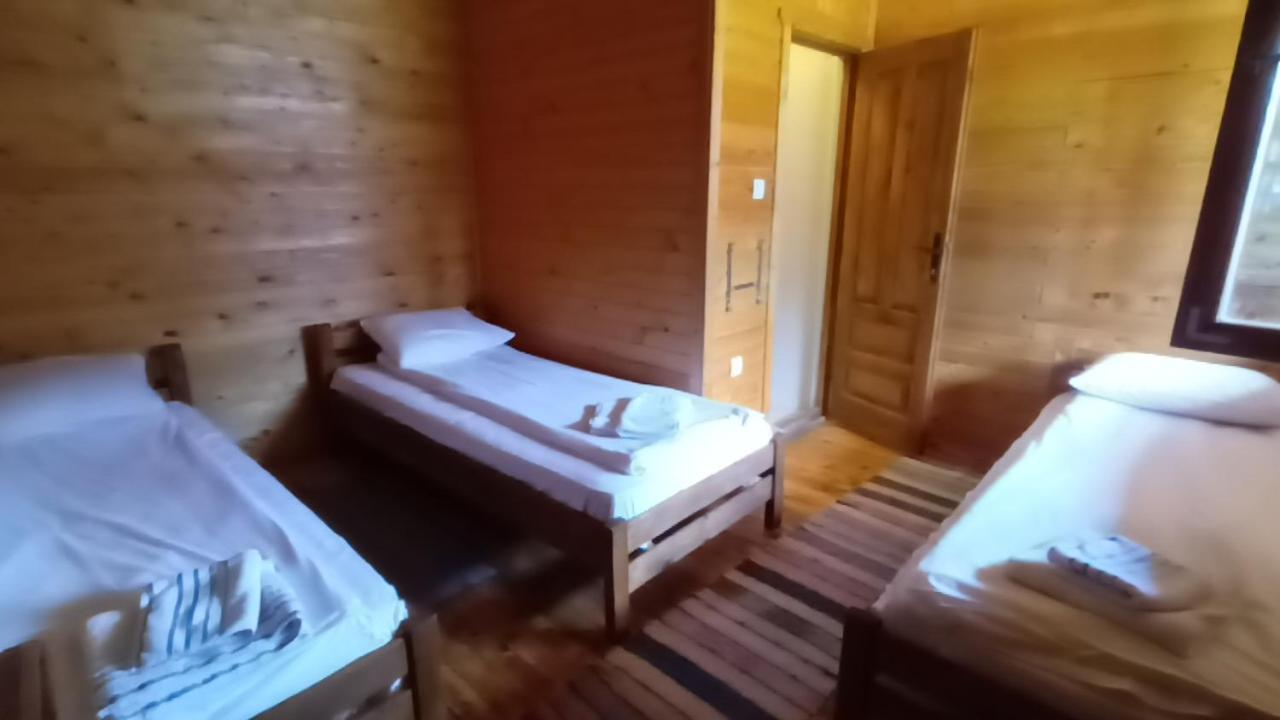 Lolini Bungalovi Novi Sad Exterior photo